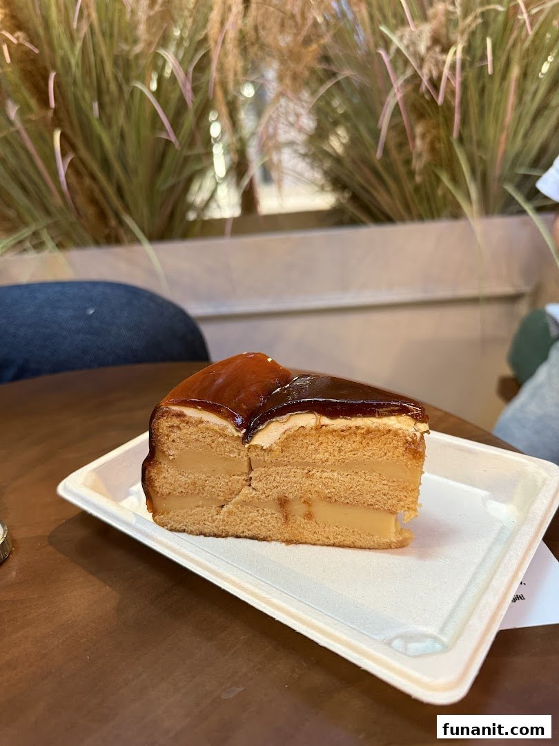 A delicious slice of layered cake with caramel topping served on a white plate.