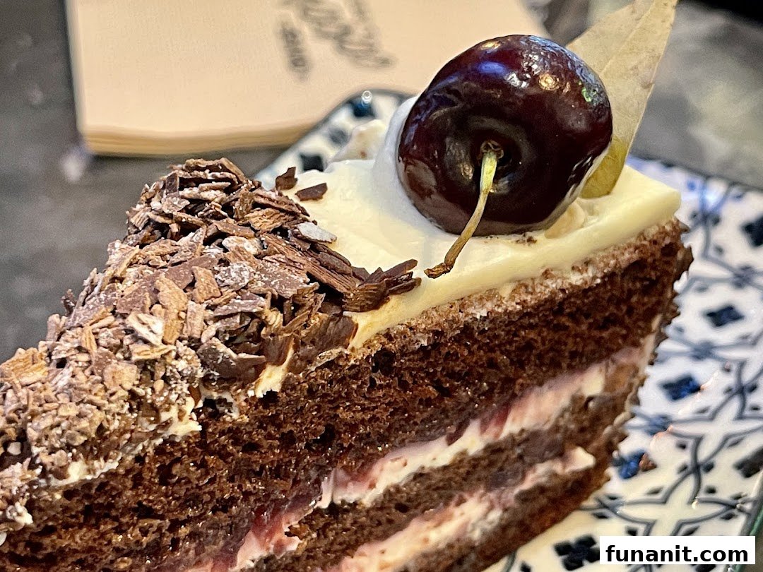 A close-up of a rich chocolate cake slice, garnished with a cherry and chocolate shavings.