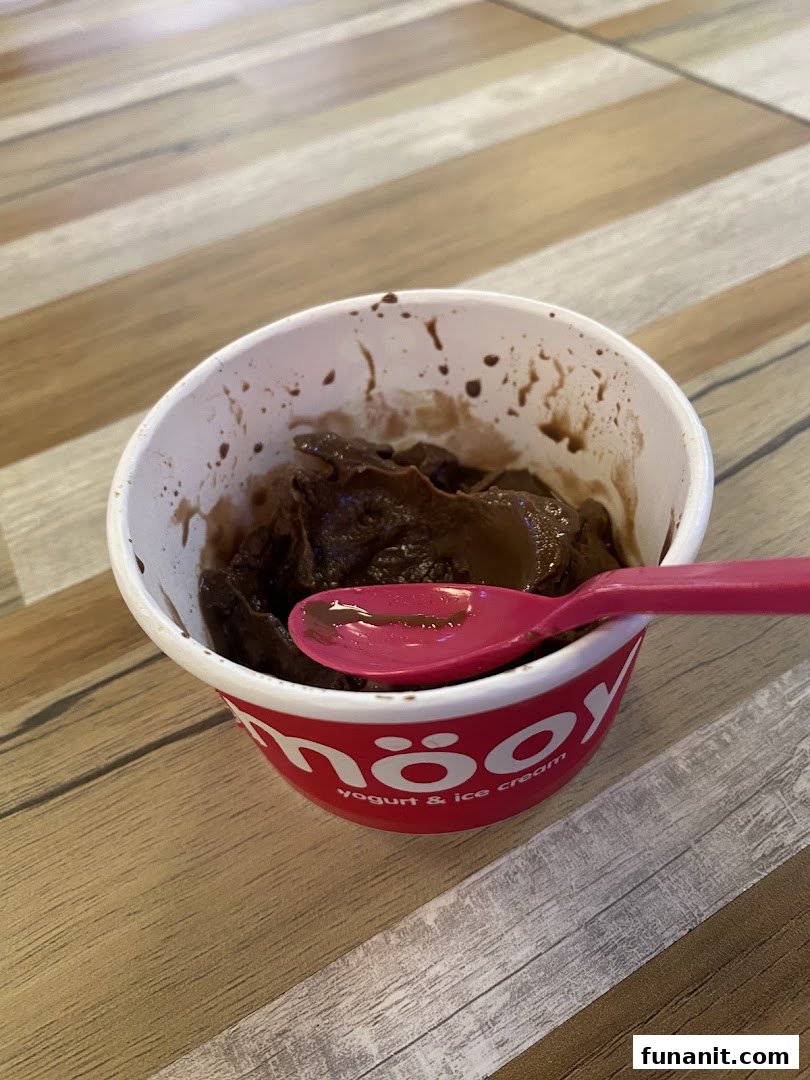 A cup of rich chocolate frozen yogurt or ice cream with a pink spoon from smöoy.