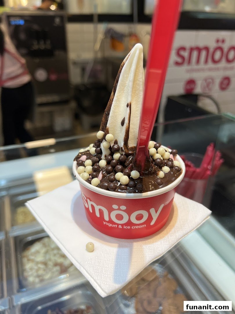 A delicious smöoy frozen yogurt with chocolate sauce and crunchy toppings in a red cup.