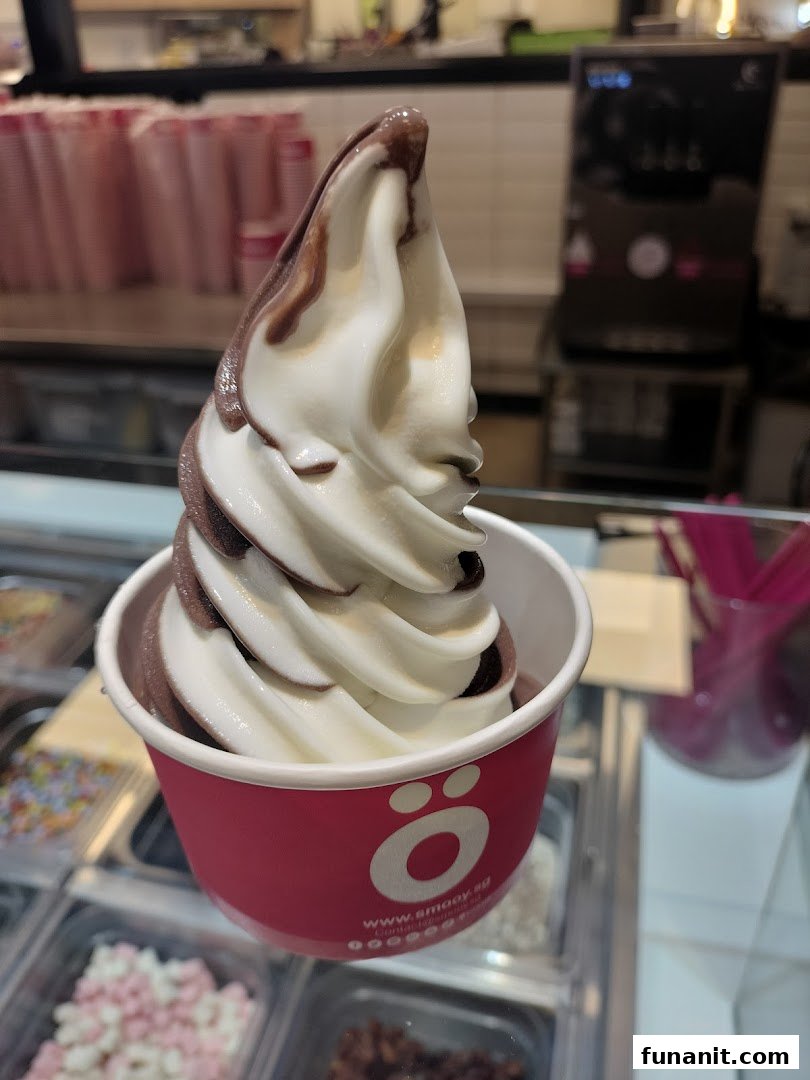 A delicious swirl of chocolate and vanilla frozen yogurt in a smöoy branded cup.