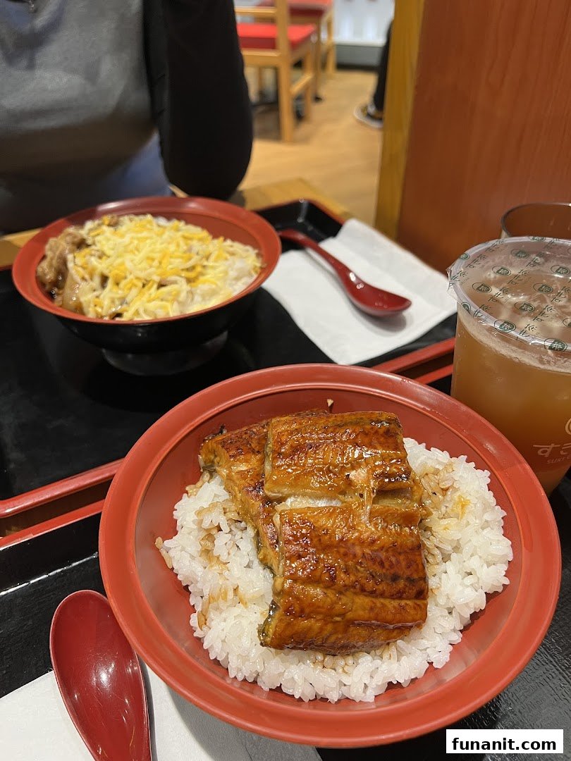 Two delicious Japanese rice bowls, one with grilled eel and another with beef, served at Sukiya.