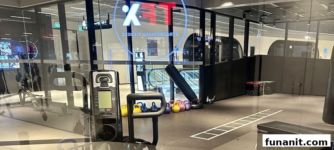 Interior view of TFX Fitness gym with various exercise equipment.