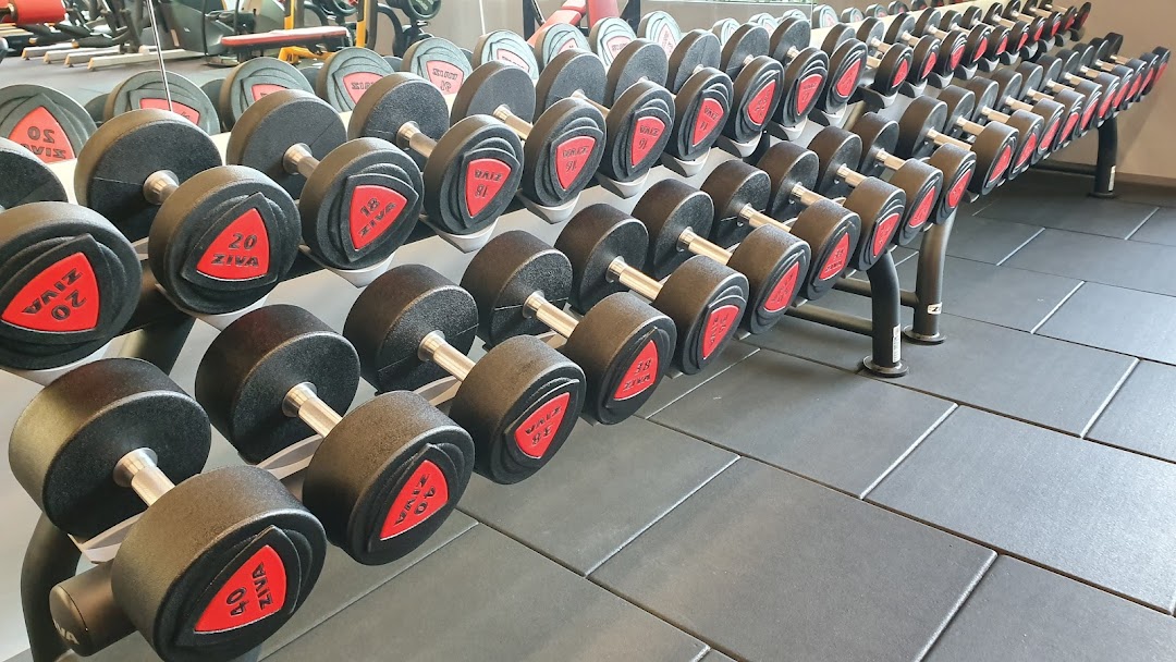 A well-organized rack displaying a wide range of dumbbells in a modern gym.