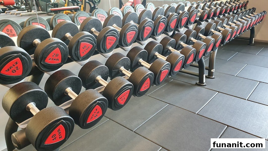 A well-organized rack displaying a wide range of dumbbells in a modern gym.