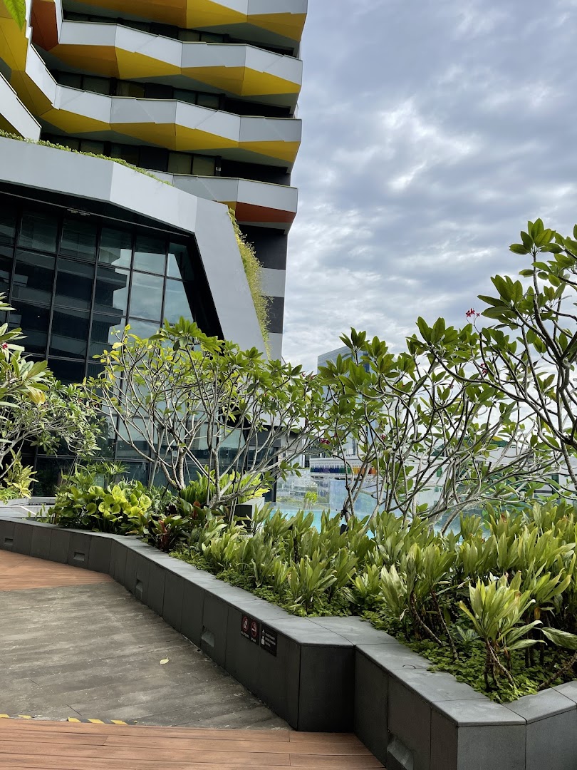 An outdoor view featuring lush greenery, a modern building, and a glimpse of a pool area.