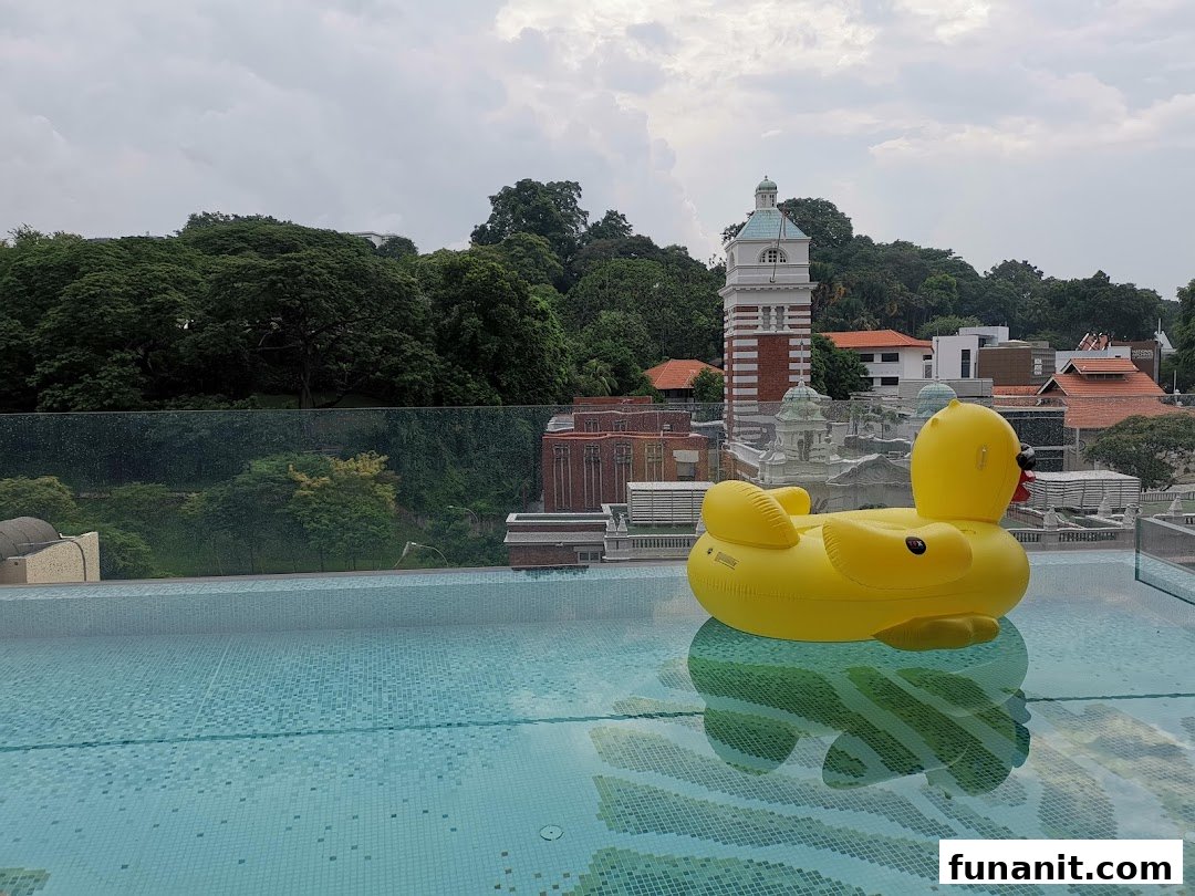 A rooftop swimming pool with a large yellow inflatable duck, overlooking a city skyline and lush greenery.