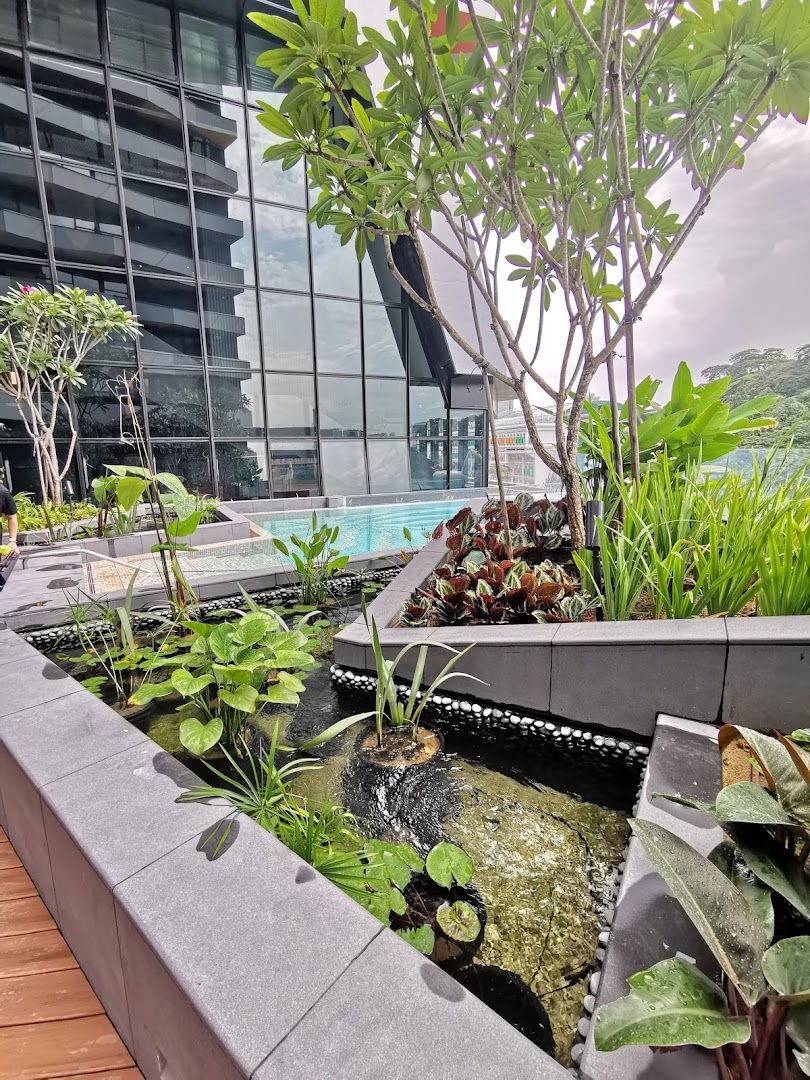 A serene rooftop garden with a swimming pool and lush greenery, reflecting a modern building.