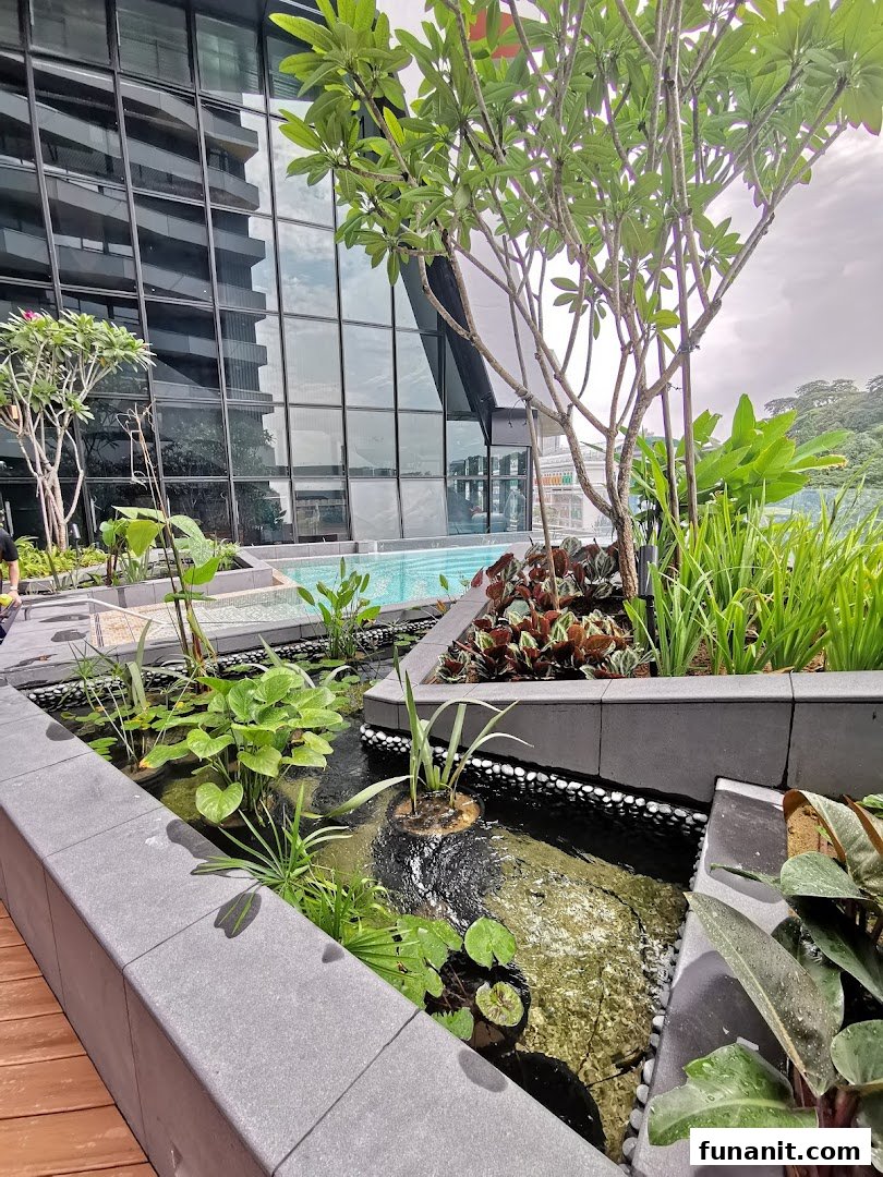 A serene rooftop garden with a swimming pool and lush greenery, reflecting a modern building.