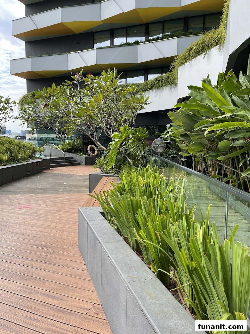 TFX Fitness - Funan image 8