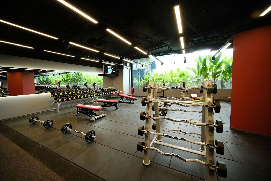 An interior view of TFX Fitness gym, featuring various weight training equipment and natural light.
