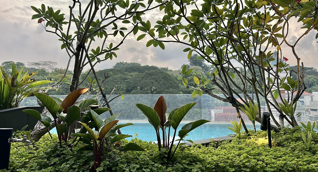 A serene rooftop garden with lush plants, a swimming pool, and distant city views under a cloudy sky.