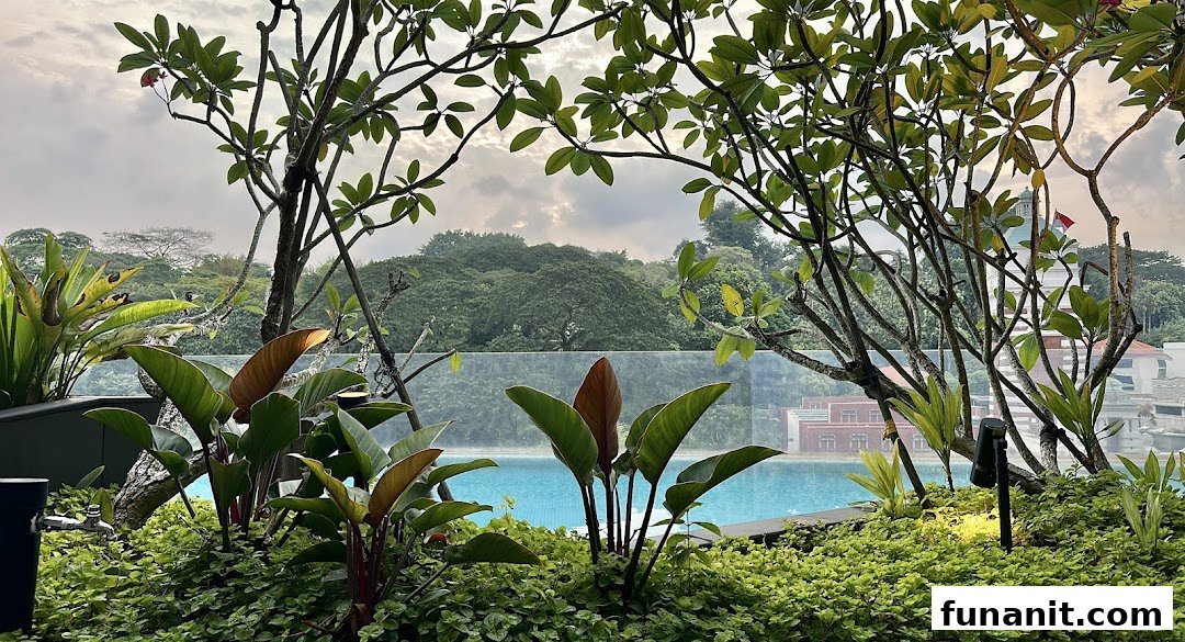 A serene rooftop garden with lush plants, a swimming pool, and distant city views under a cloudy sky.