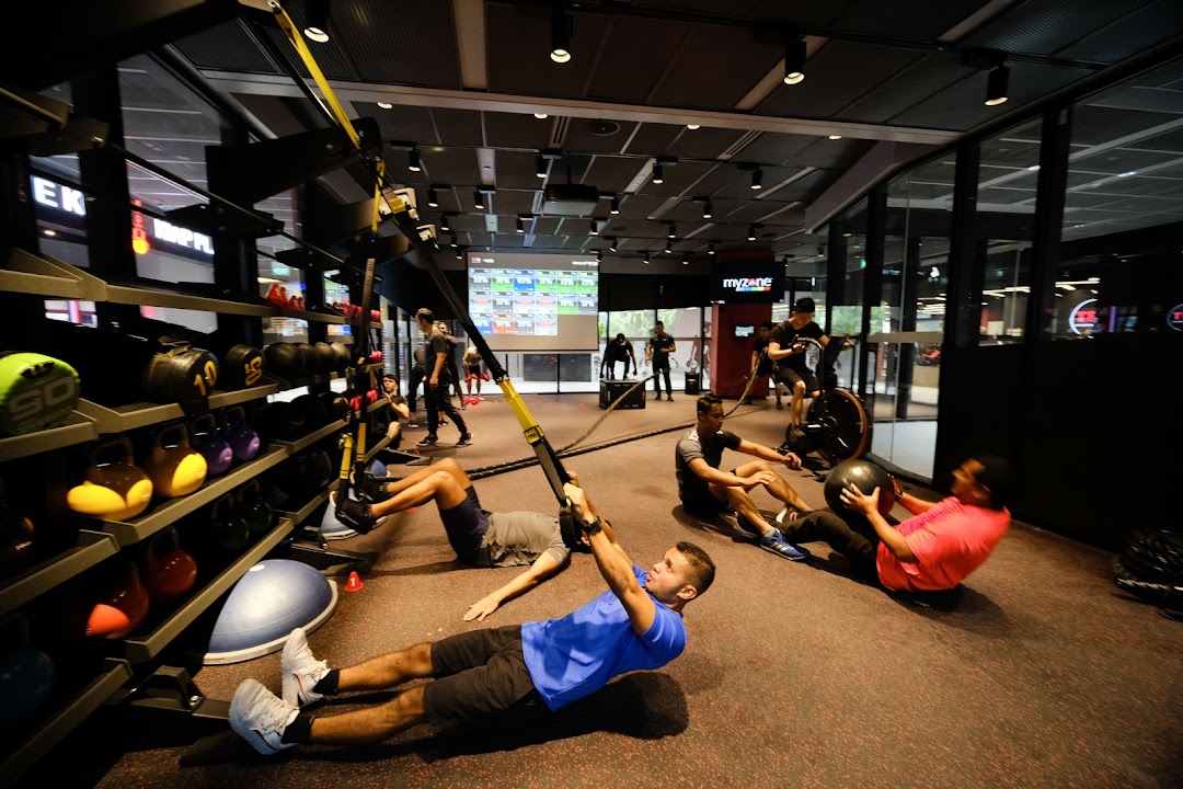 People engage in various exercises within a modern gym setting at TFX Fitness.