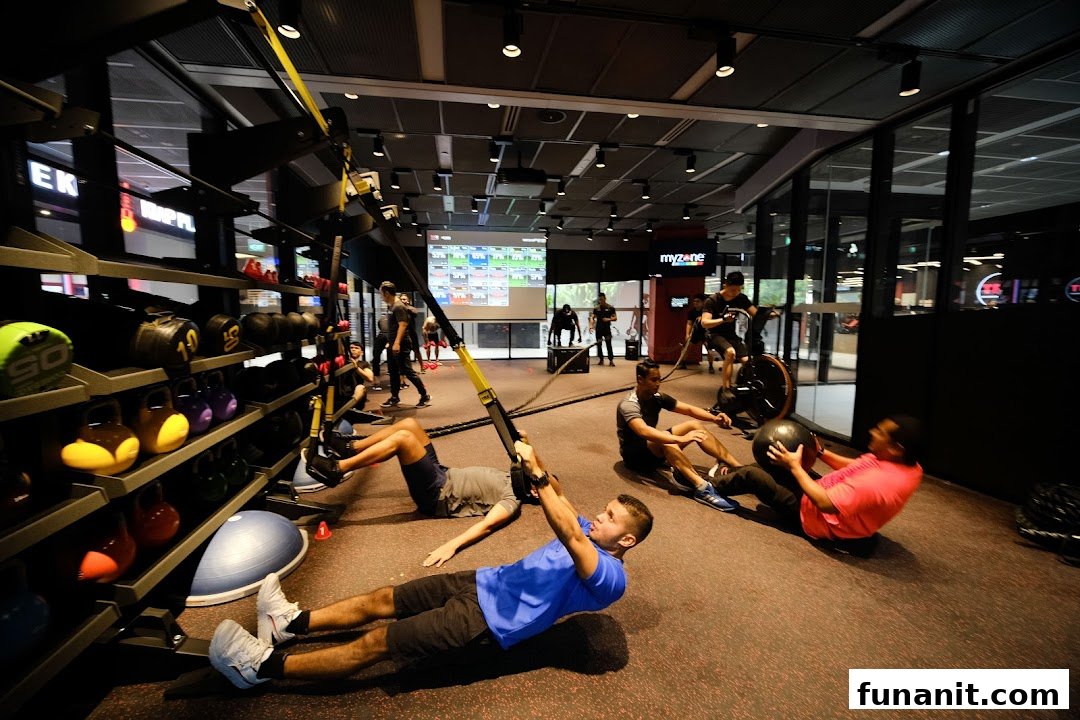 People engage in various exercises within a modern gym setting at TFX Fitness.