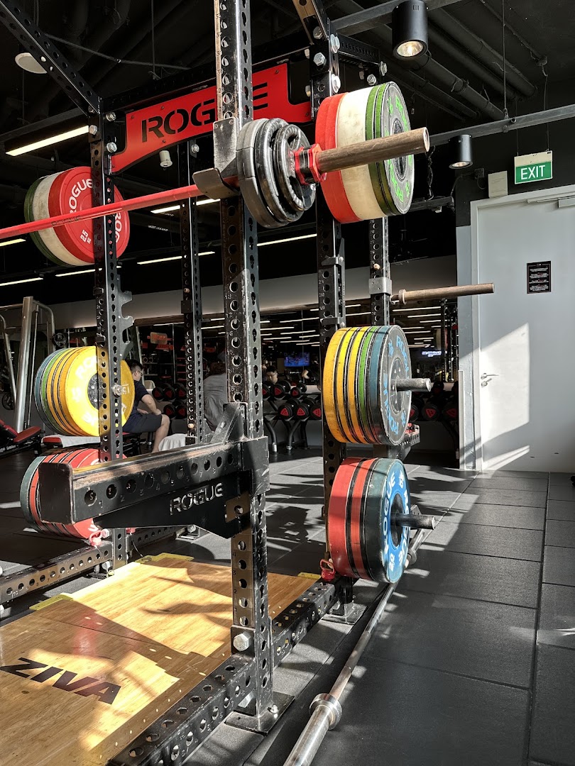 A well-equipped weightlifting area with barbells and colorful plates on a Rogue fitness rack at TFX Fitness.