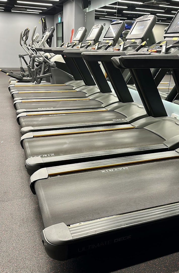 A row of modern treadmills and elliptical machines in a well-equipped gym.