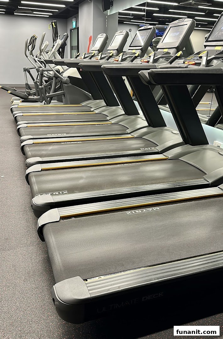 A row of modern treadmills and elliptical machines in a well-equipped gym.