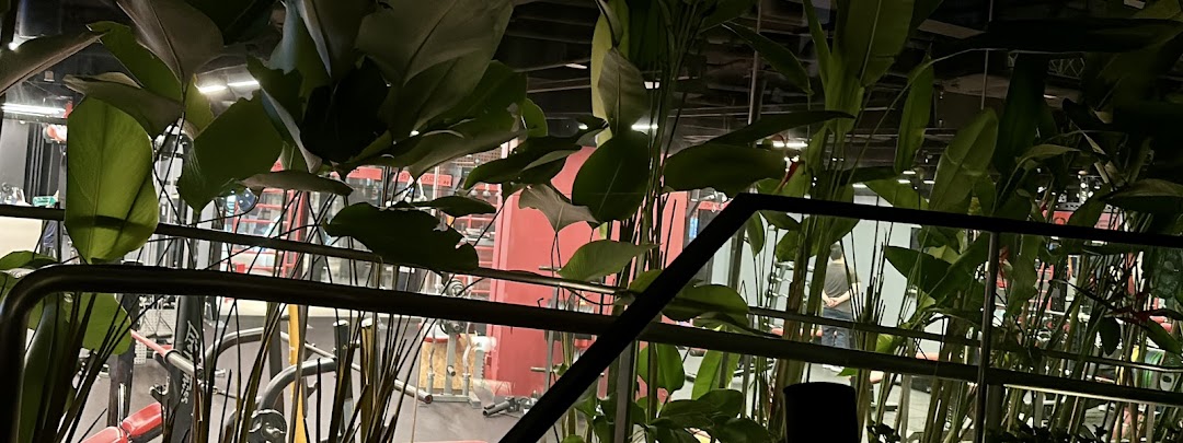 An interior view of TFX Fitness gym, showcasing various exercise equipment and lush green foliage.
