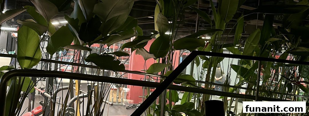 An interior view of TFX Fitness gym, showcasing various exercise equipment and lush green foliage.