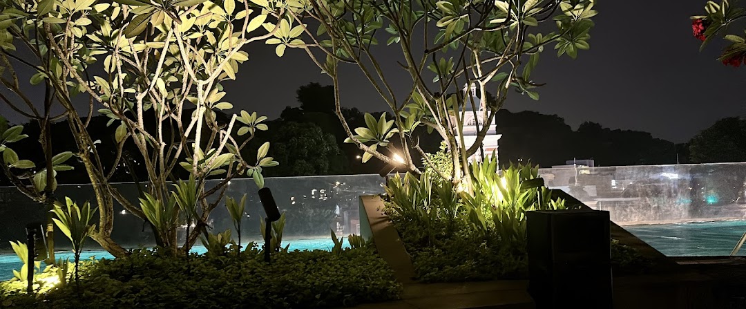 An illuminated outdoor area at night featuring lush plants, a pool, and a distant building.