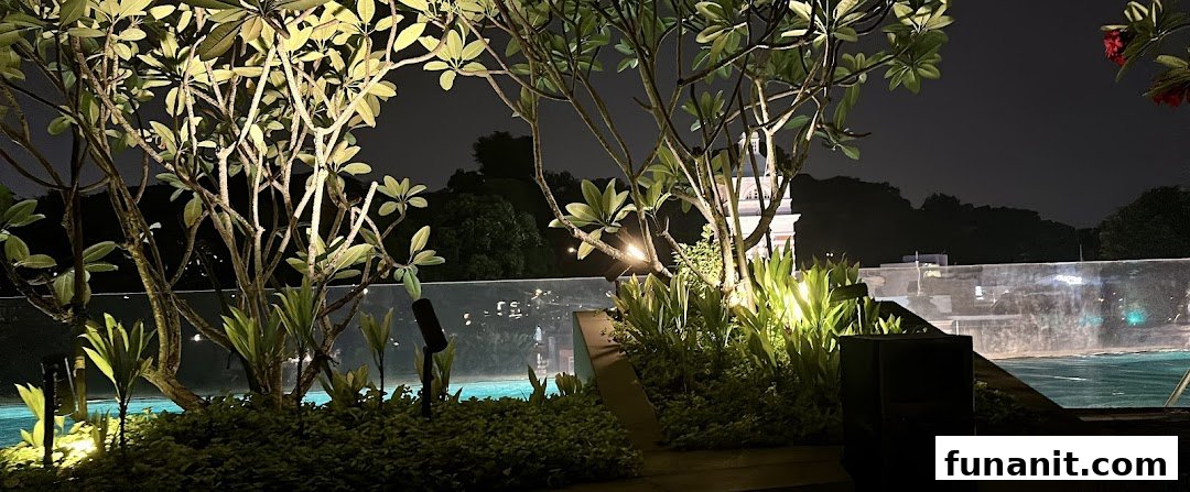 An illuminated outdoor area at night featuring lush plants, a pool, and a distant building.