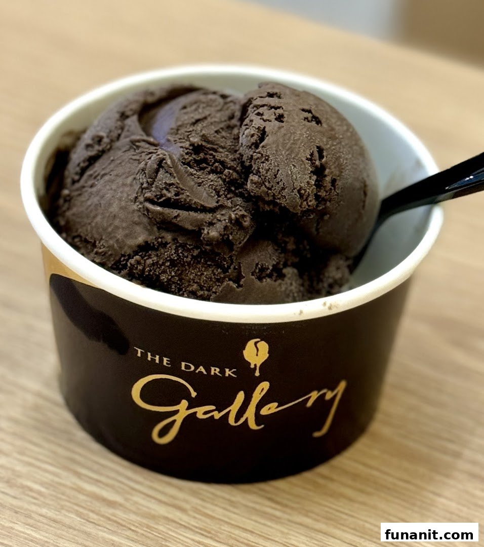A rich dark chocolate ice cream in a branded cup with a spoon.