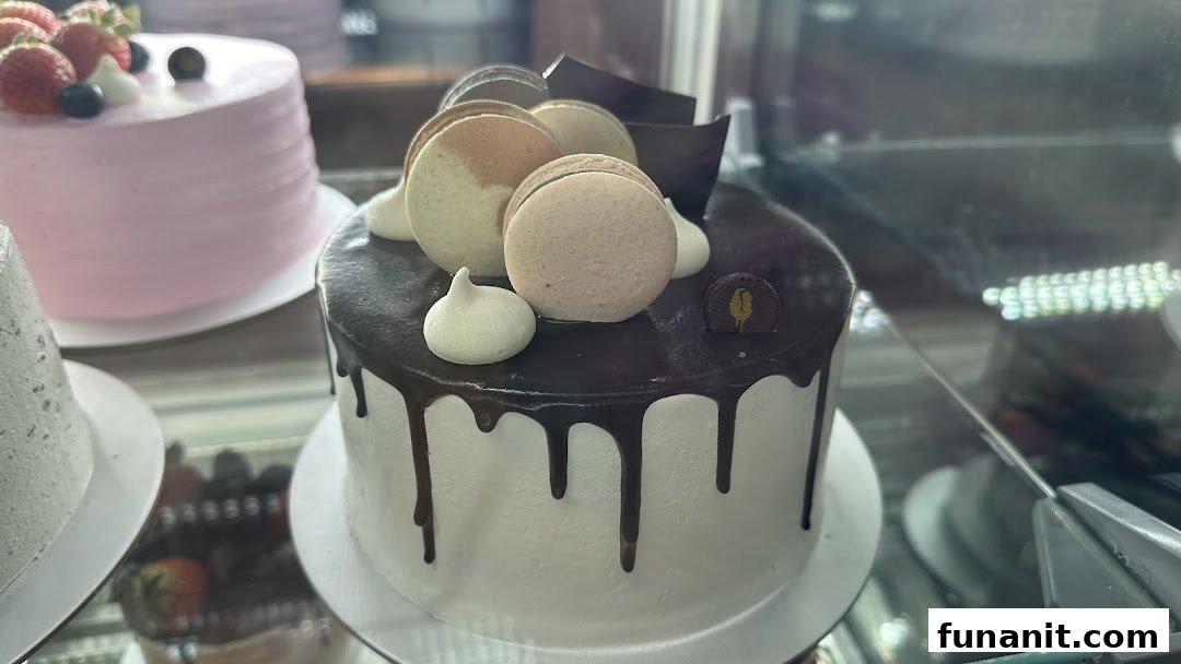 A display case showcasing beautifully decorated cakes, including a chocolate drip cake with macarons.