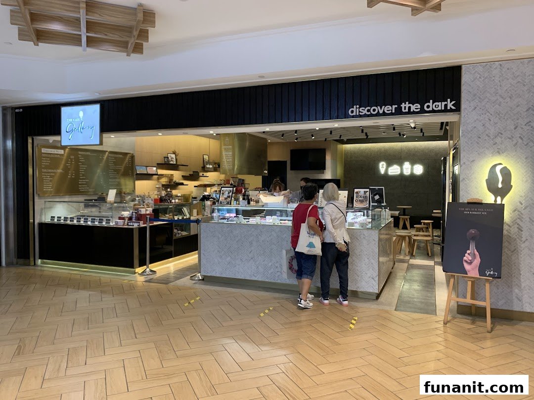 The Dark Gallery shop entrance with customers at the counter and display cases.