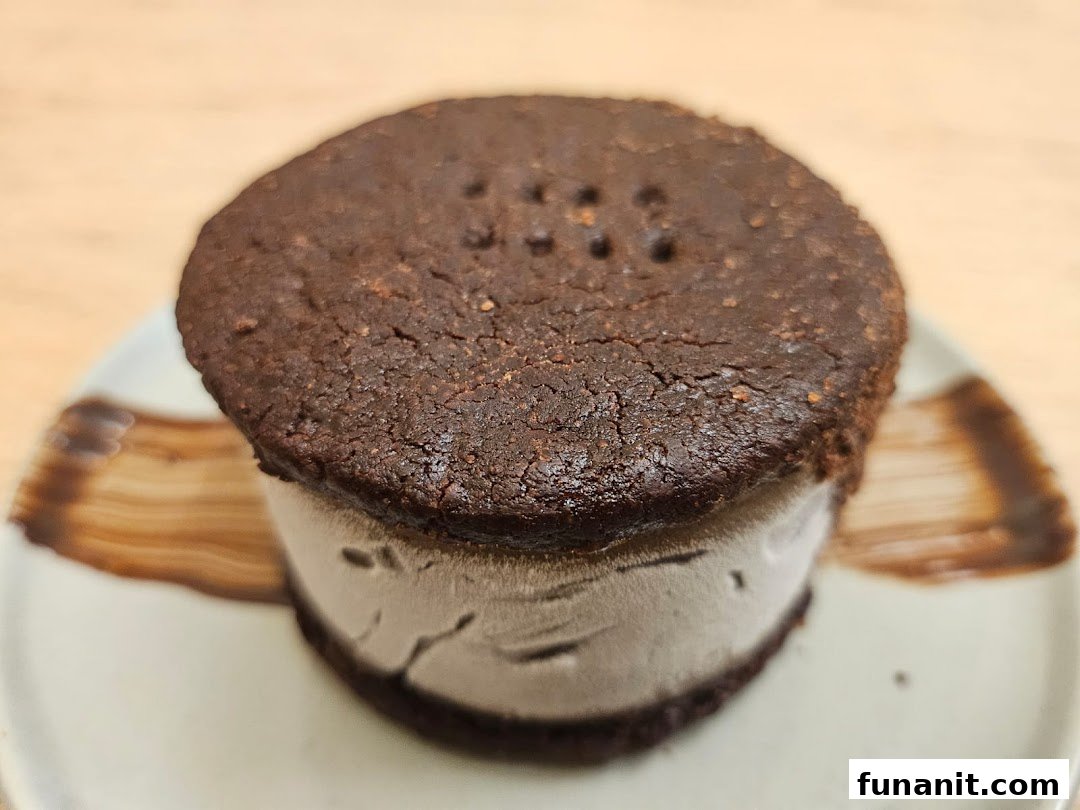 A delicious dark chocolate ice cream sandwich on a plate.