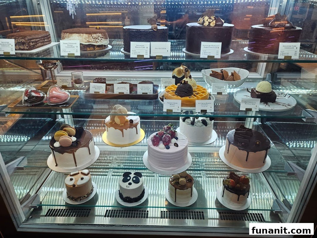 A display case showcasing a variety of decadent chocolate cakes, pastries, and desserts.