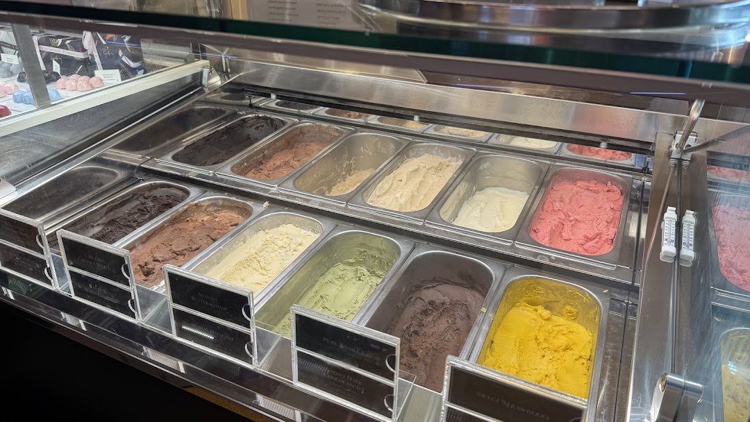 A vibrant display case showcasing various flavors of artisanal ice cream and gelato.