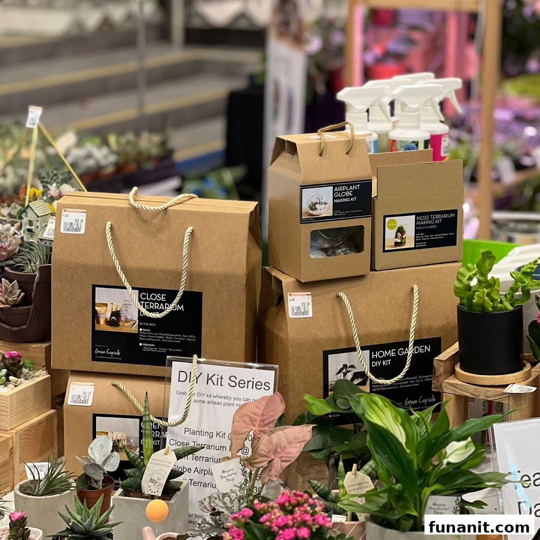 A vibrant display of various DIY plant kits and potted plants from The Green Capsule, including terrarium and home garden kits.