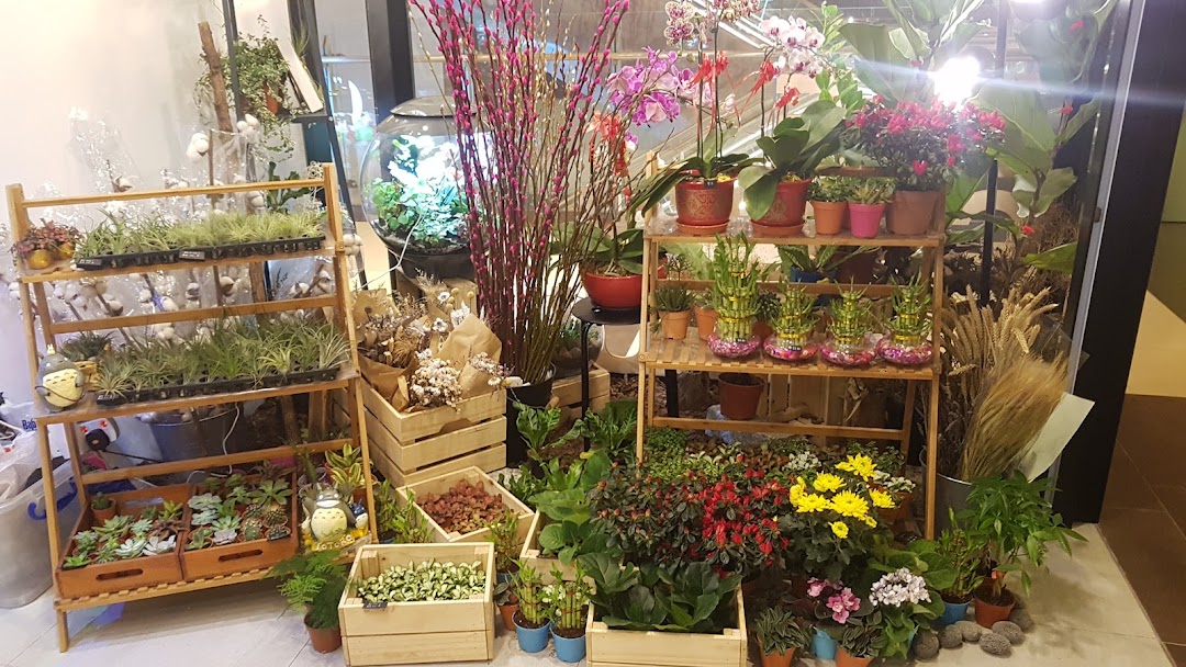 A vibrant display of various plants, flowers, succulents, and air plants on wooden shelves and crates.