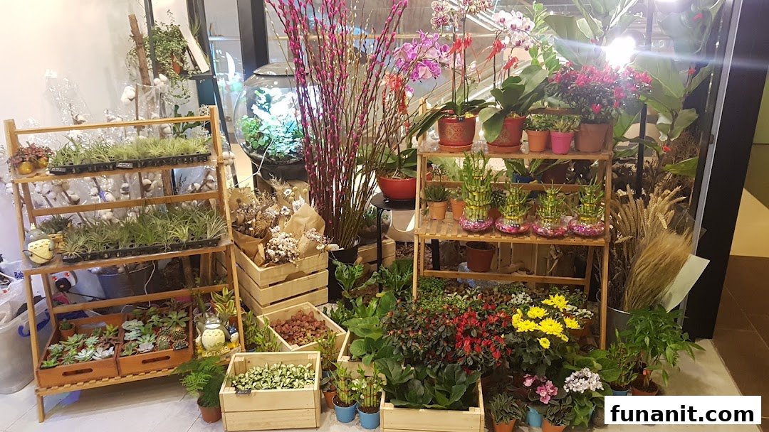 A vibrant display of various plants, flowers, succulents, and air plants on wooden shelves and crates.