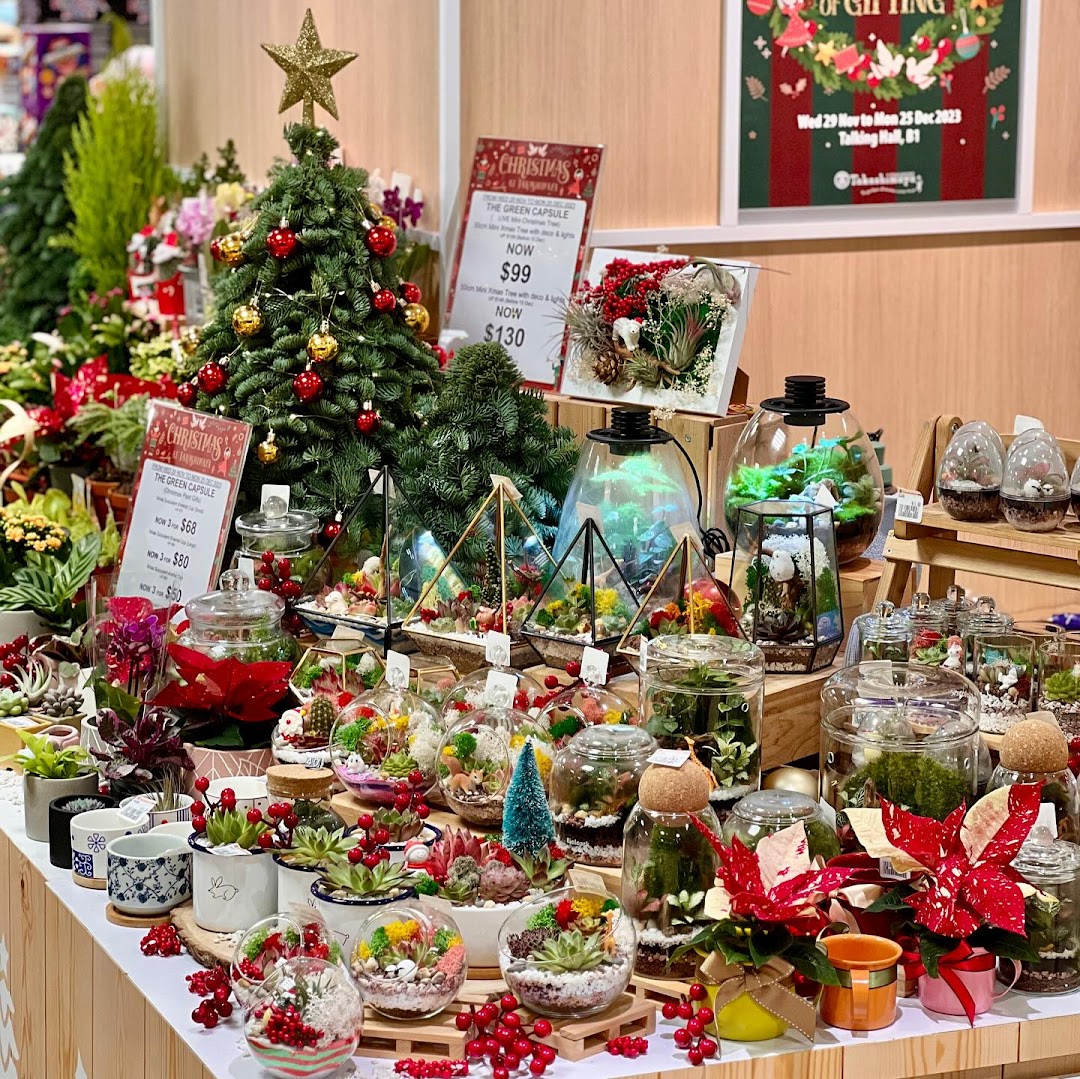 A vibrant display of festive terrariums, potted plants, and mini Christmas trees at The Green Capsule.