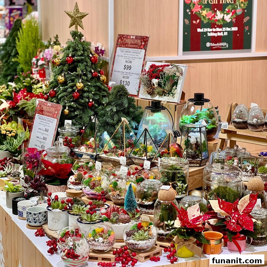 A vibrant display of festive terrariums, potted plants, and mini Christmas trees at The Green Capsule.