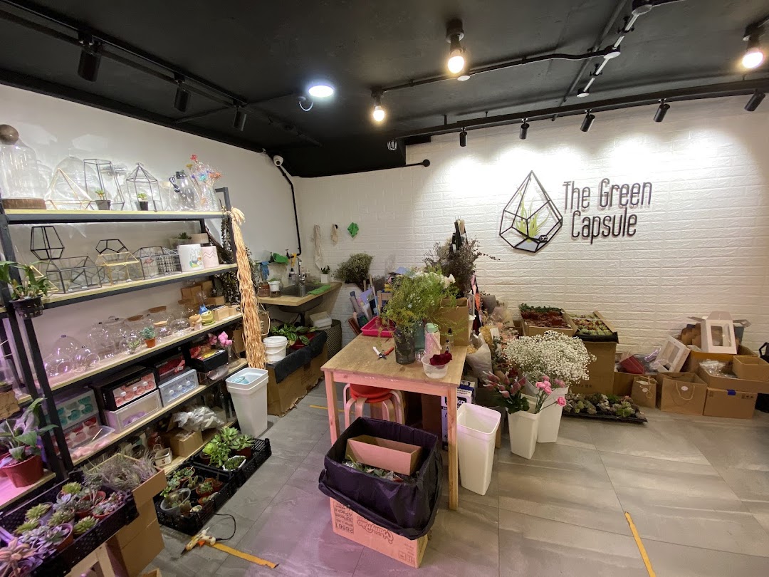Interior view of The Green Capsule, showcasing terrariums, plants, and floral supplies.