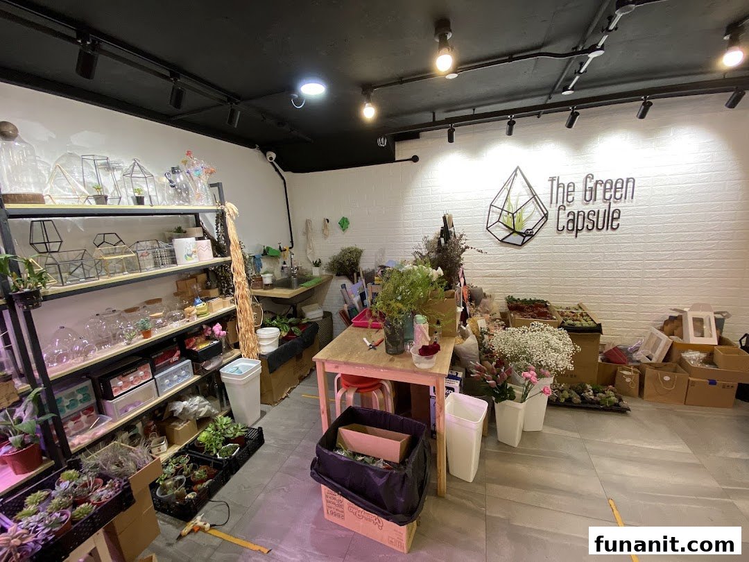 Interior view of The Green Capsule, showcasing terrariums, plants, and floral supplies.