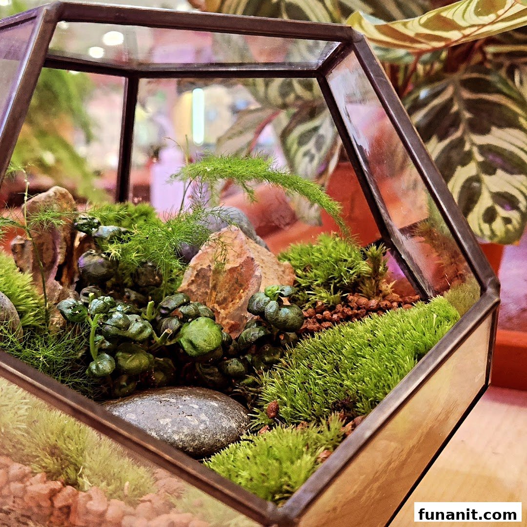A close-up of a vibrant terrarium featuring lush moss, small plants, and natural rocks in a geometric glass container.