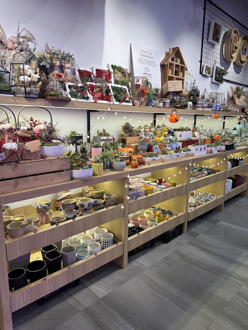 A vibrant display of terrariums, succulents, and decorative pots on illuminated shelves inside The Green Capsule.