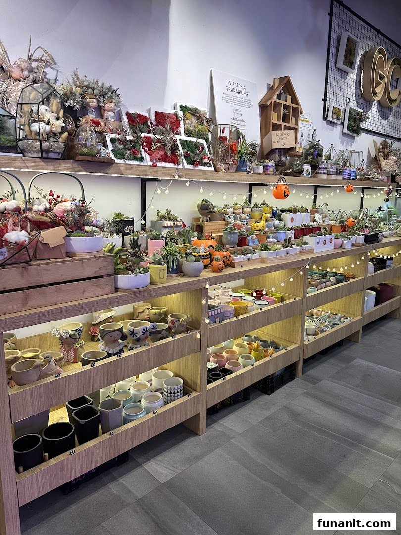 A vibrant display of terrariums, succulents, and decorative pots on illuminated shelves inside The Green Capsule.