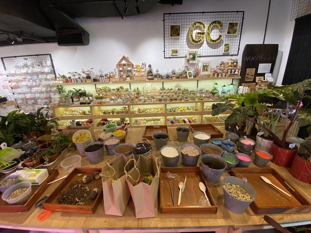 Interior view of The Green Capsule, showcasing plants, terrariums, and DIY materials for creative projects.