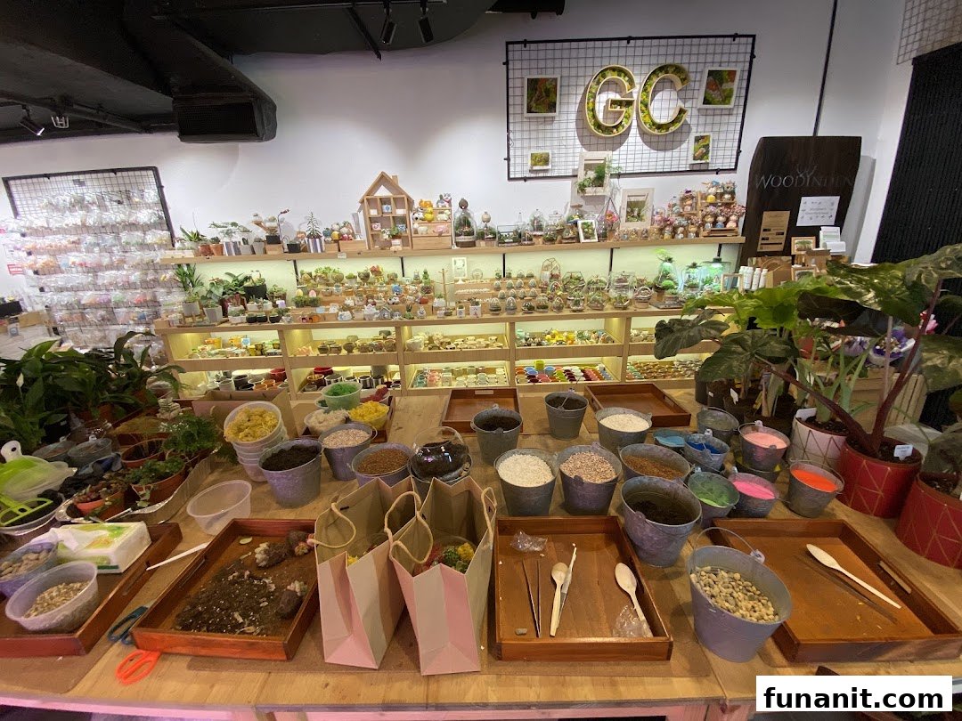 Interior view of The Green Capsule, showcasing plants, terrariums, and DIY materials for creative projects.