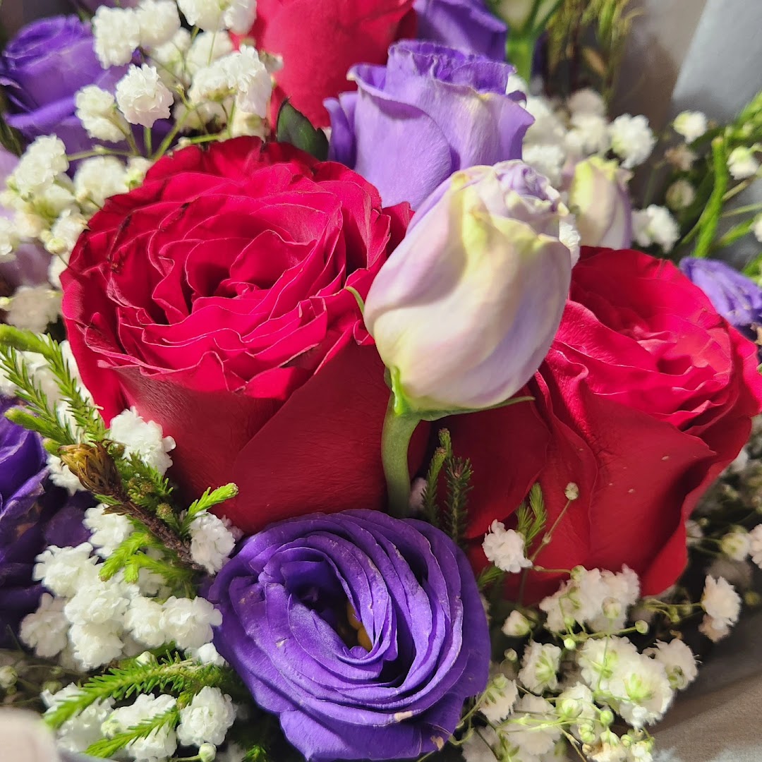 A vibrant bouquet featuring red roses, purple flowers, and delicate white baby's breath.