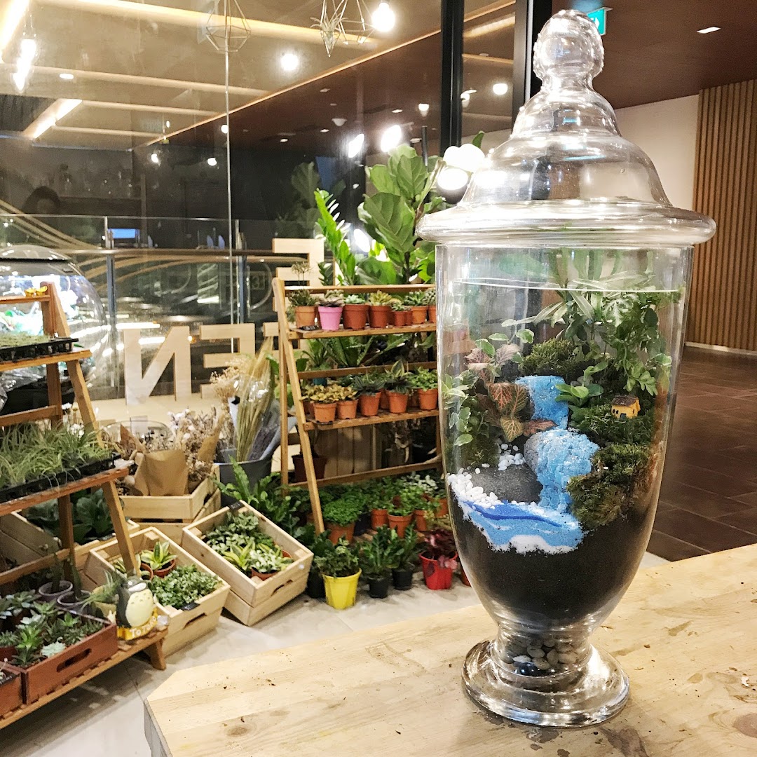 A vibrant display of plants and a detailed terrarium inside The Green Capsule shop.