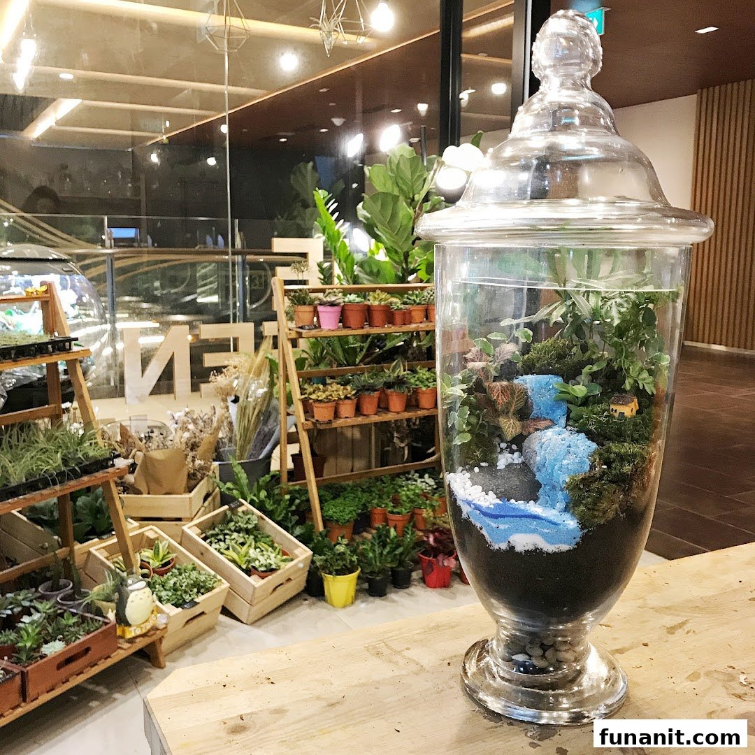A vibrant display of plants and a detailed terrarium inside The Green Capsule shop.