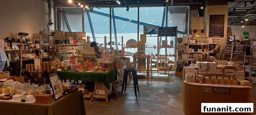 An interior view of The Green Collective SG, showcasing various sustainable and eco-friendly products on display.