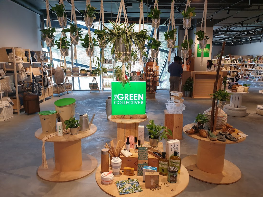Interior view of The Green Collective SG, showcasing sustainable products and lush hanging plants.