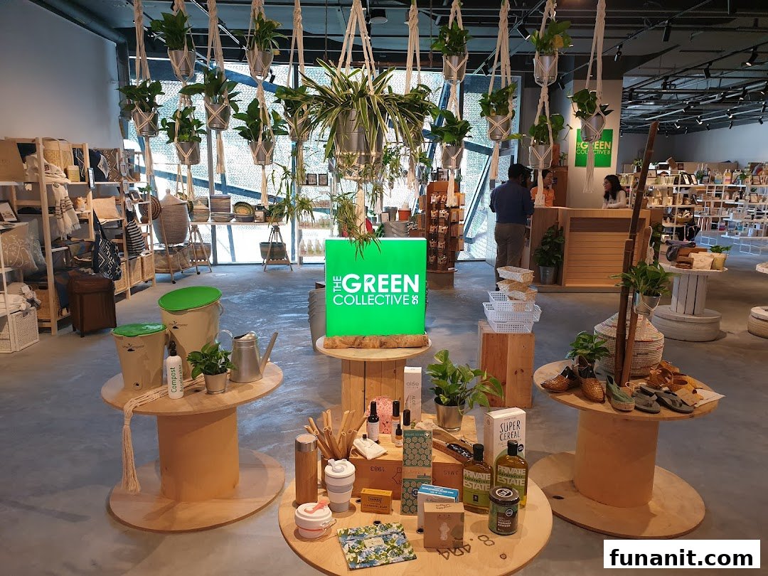 Interior view of The Green Collective SG, showcasing sustainable products and lush hanging plants.